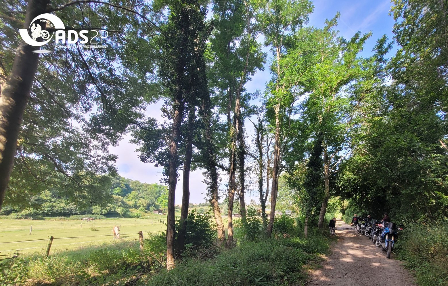 ADS2P Maxi-Trail carrousel